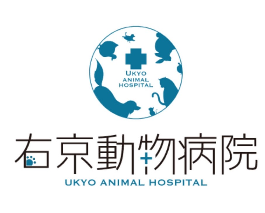 右京動物病院 本院