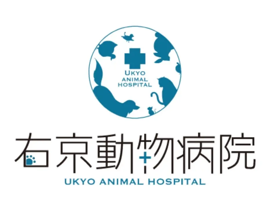 右京動物病院 本院