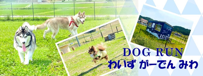 わいずがーでんみわ
