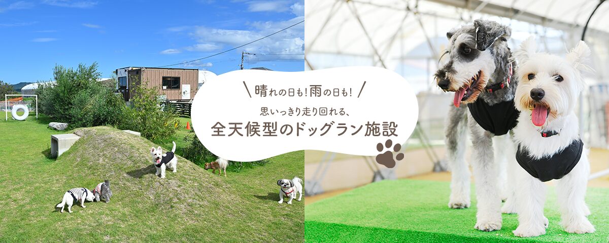NPO法人88 ドッグラン