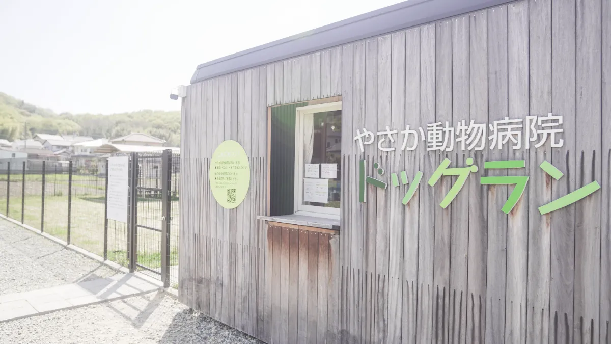やさか動物病院