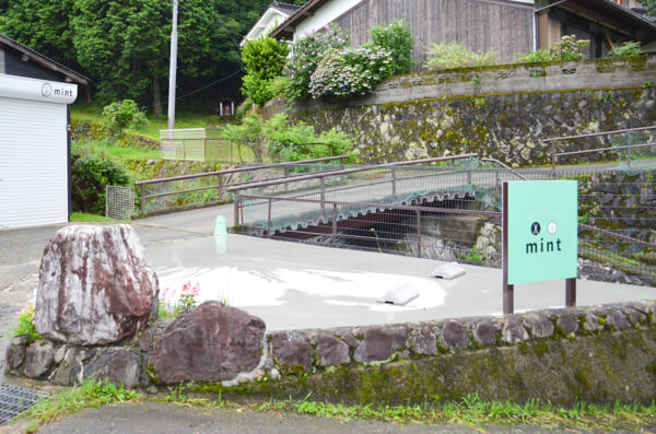 dog salon mint