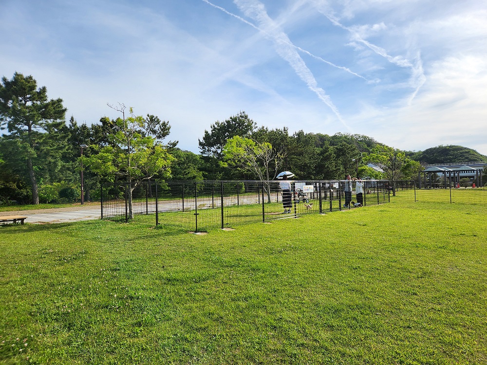 せんなん里海公園 ドッグラン