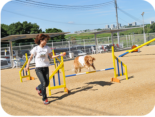 PETLAND MIKUNI クラブドッグラン
