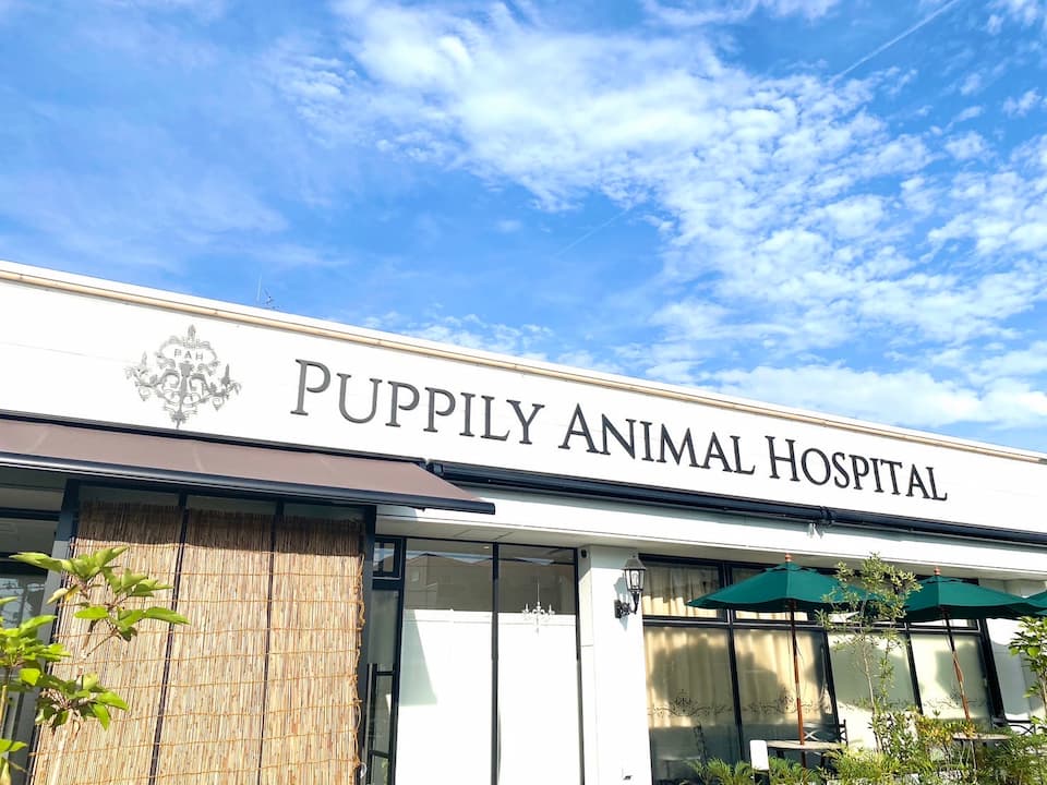PUPPILY ANIMAL HOSPITAL