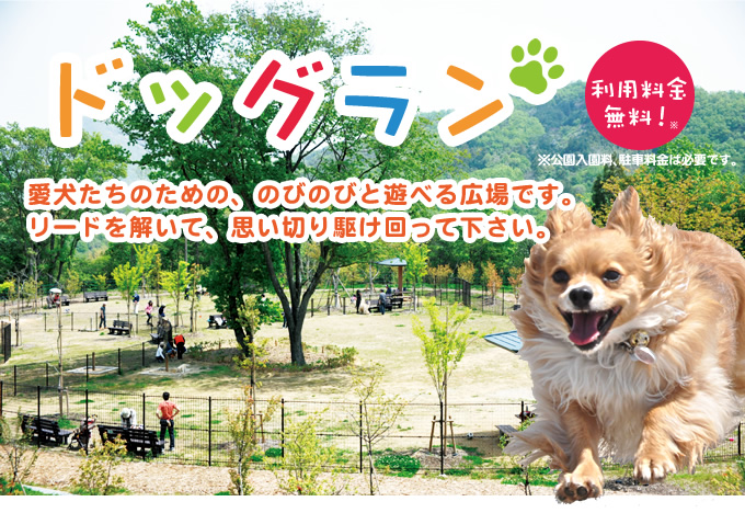 讃岐まんのう公園