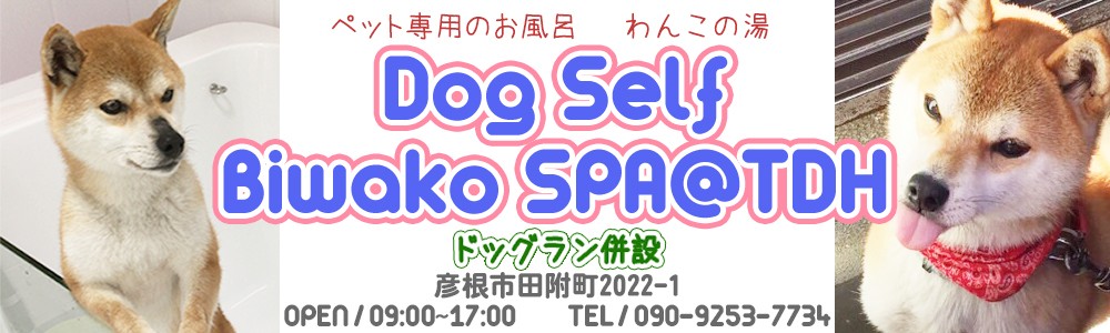 Dog Self Biwako Spa @ TDH
