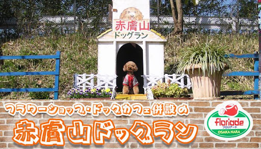 赤膚山ドッグラン フロリアード奈良店