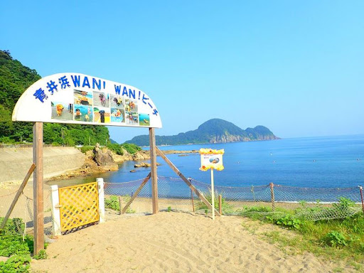 青井浜わんわんビーチ