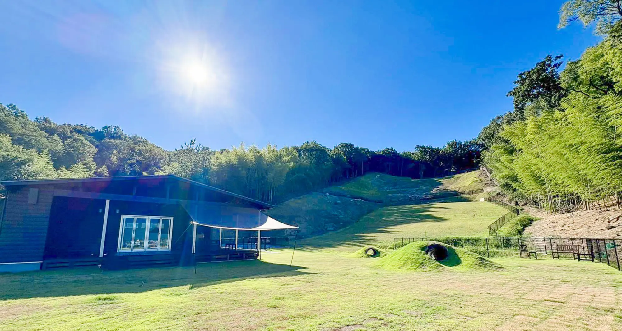 ドッグラン ユウランド