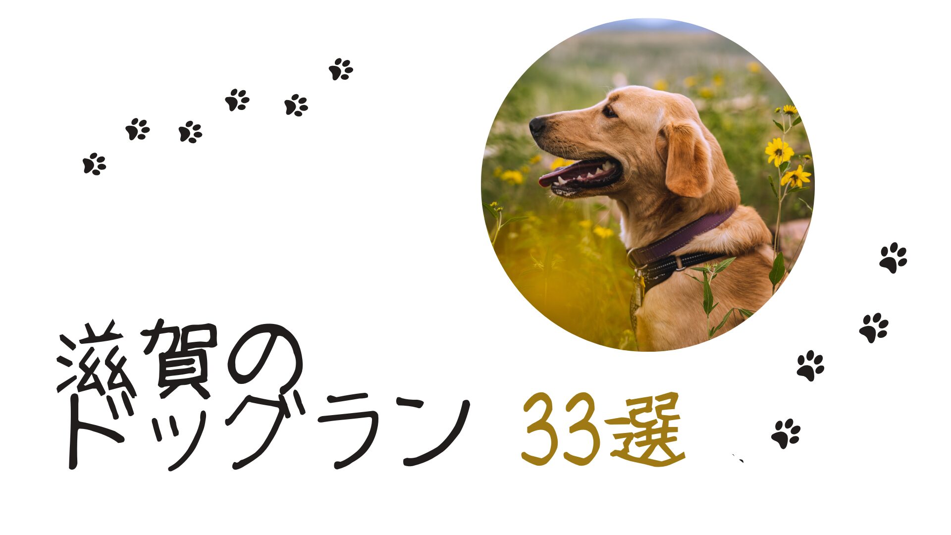 「琵琶湖の水止めたろか」で有名な滋賀のおすすめのドッグラン【33選】