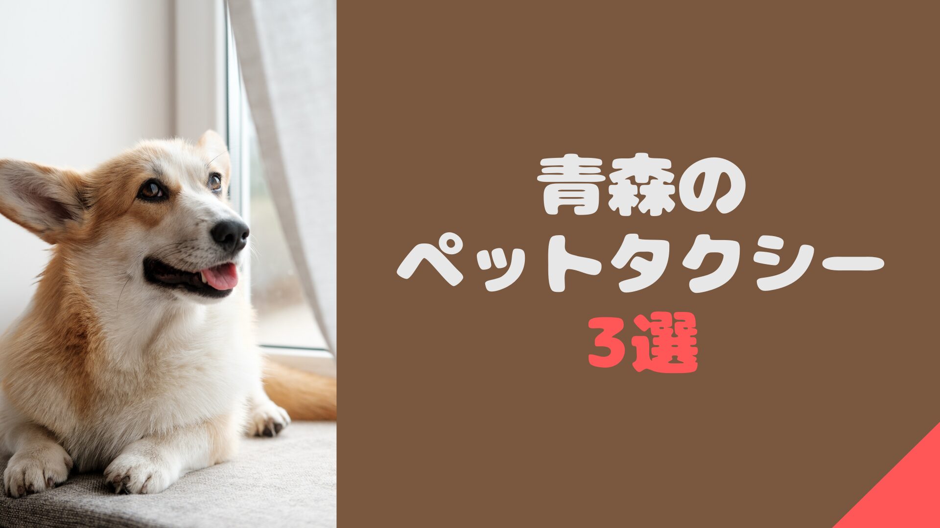 おすすめの青森のペットタクシー