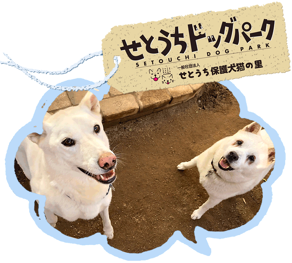 せとうちドッグパーク