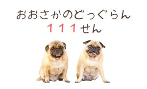 たまには愛犬を大阪のドッグランでも連れていこか【111選】