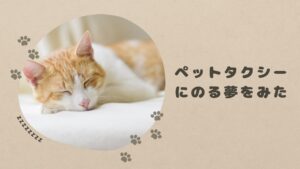 香川のおすすめのペットタクシー