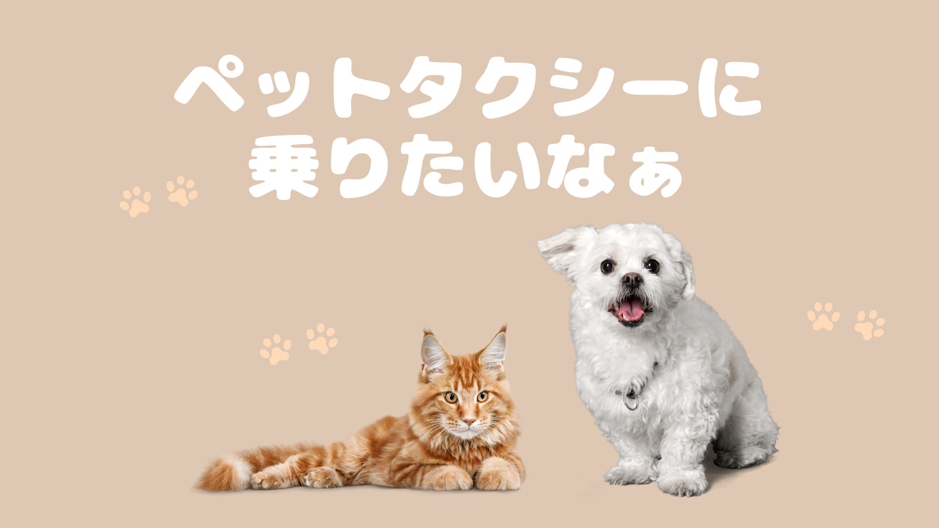 大分のおすすめのペットタクシー