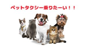 岐阜のおすすめのペットタクシー