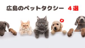 おすすめの広島のペットタクシー
