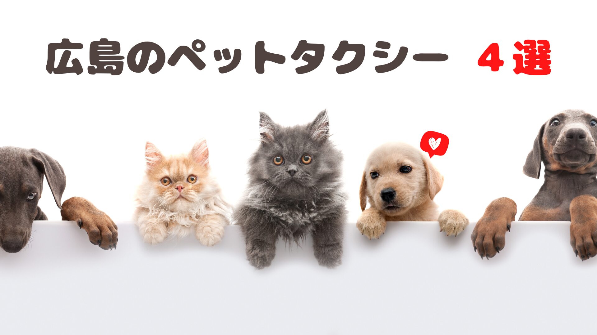 おすすめの広島のペットタクシー