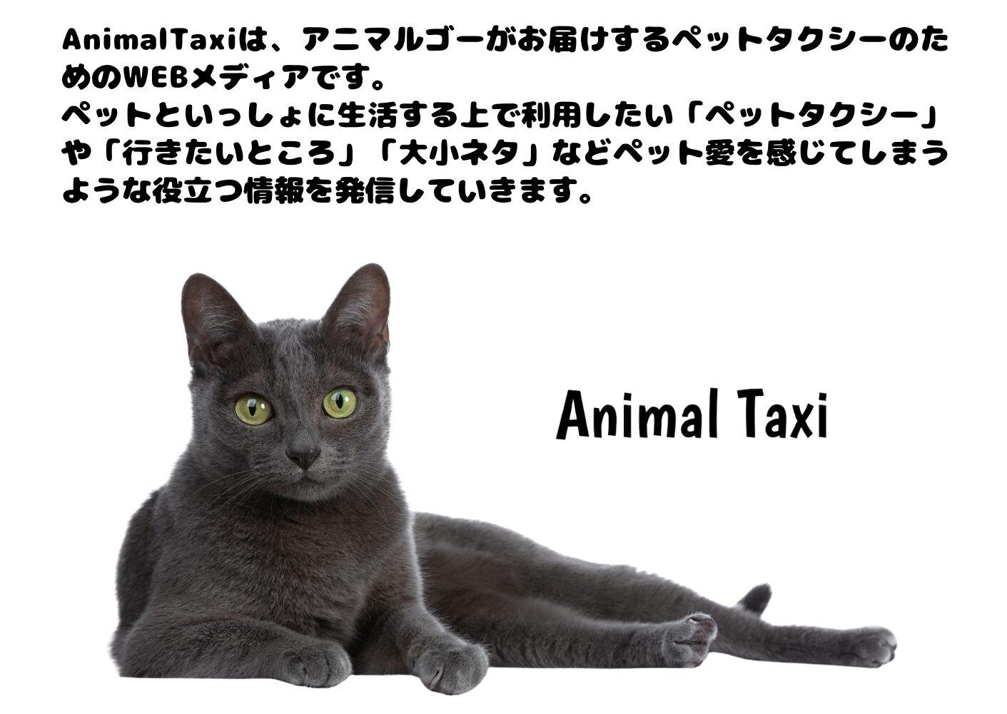 アニマルゴーがお届けするペット輸送のWEBメディア
