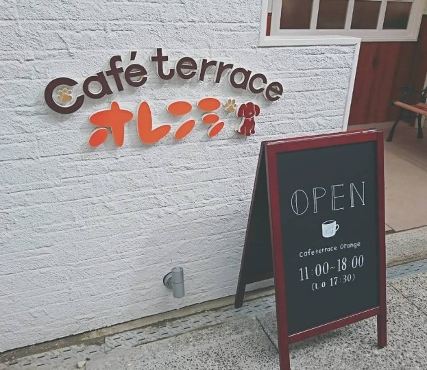 cafe terrace オレンジ