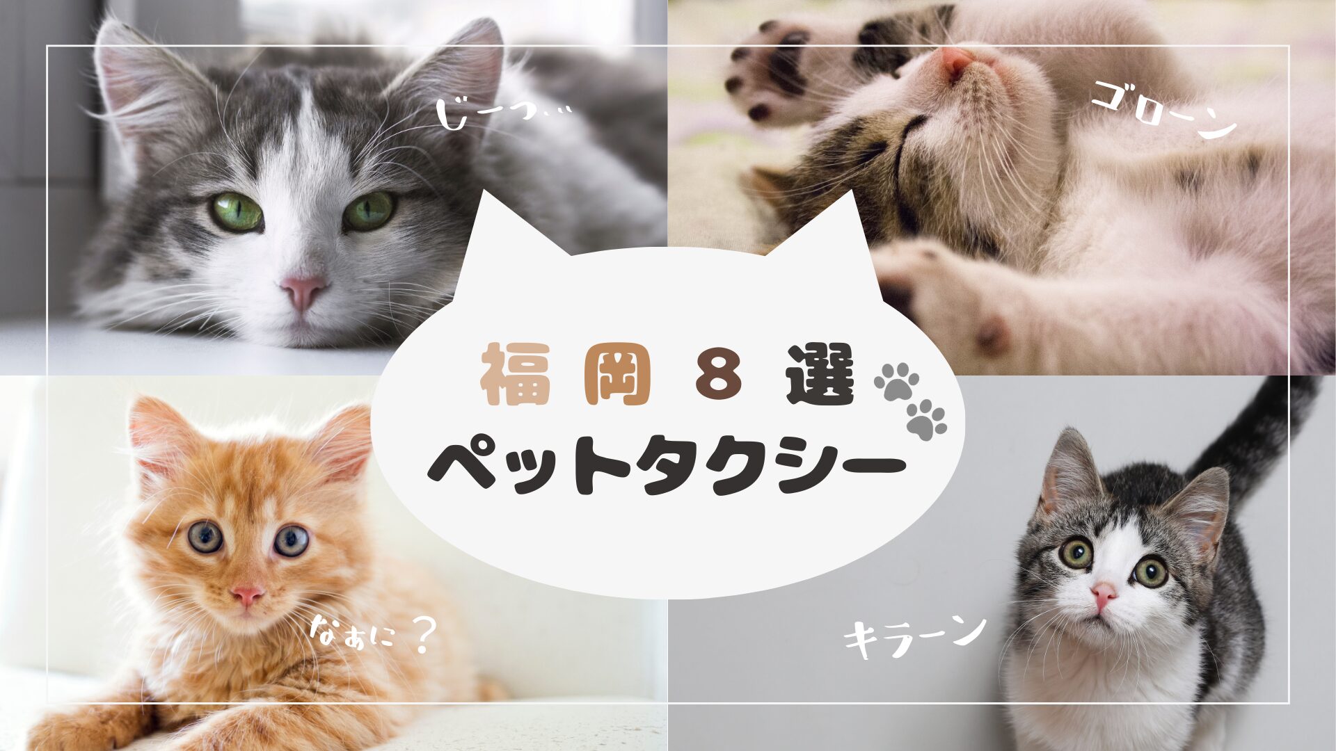 バスだらけの福岡でペットタクシーが増えてきた件【8選】