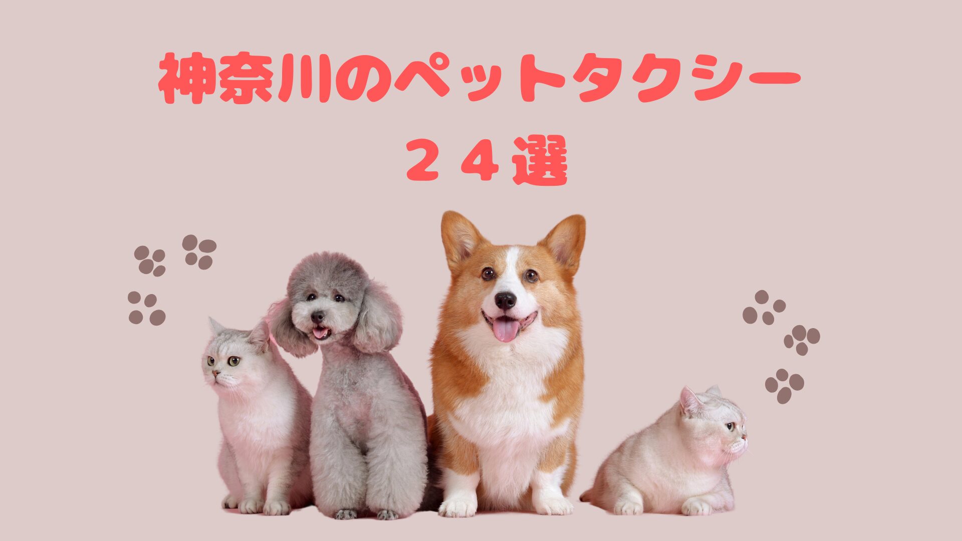 神奈川のおすすめのペットタクシー