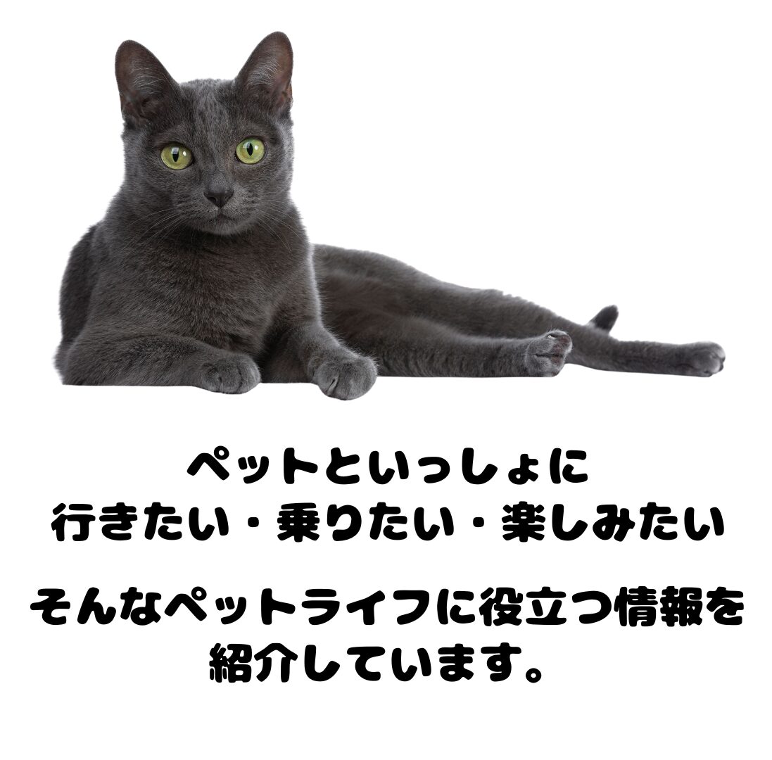 ペットタクシーはあにまる号