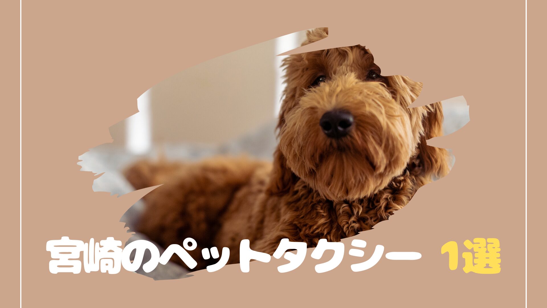 宮崎のおすすめのペットタクシー