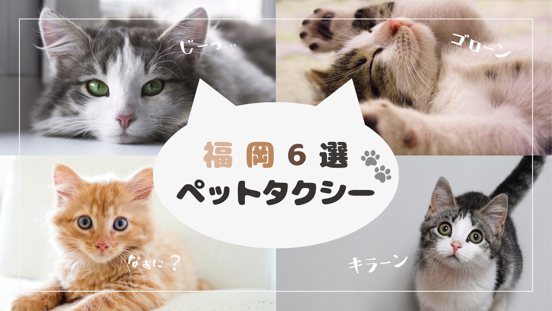 おすすめの福岡のペットタクシー