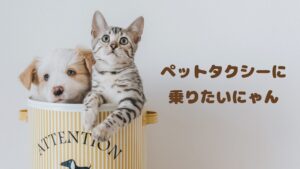 佐賀のおすすめのペットタクシー