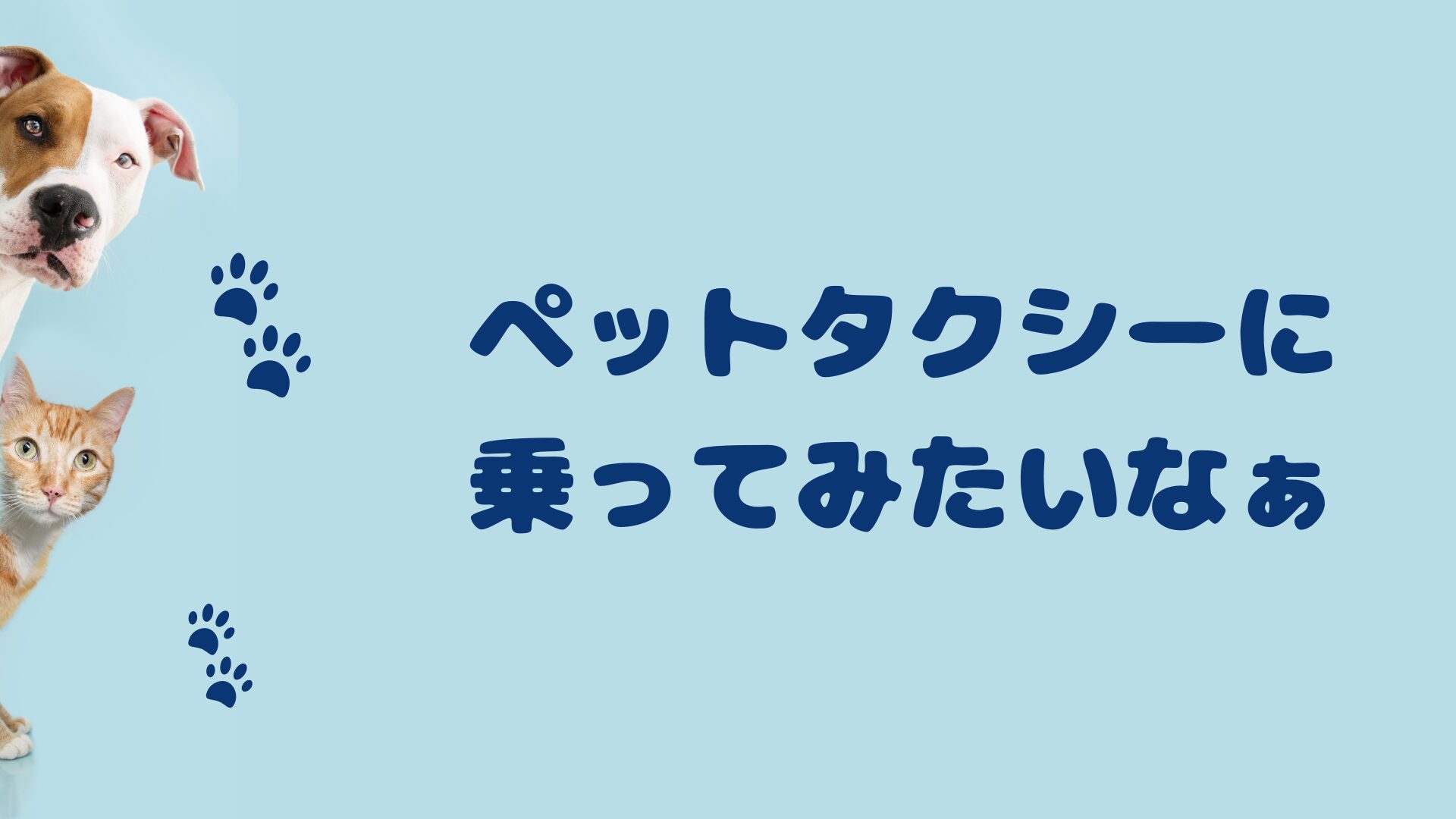 和歌山のおすすめのペットタクシー
