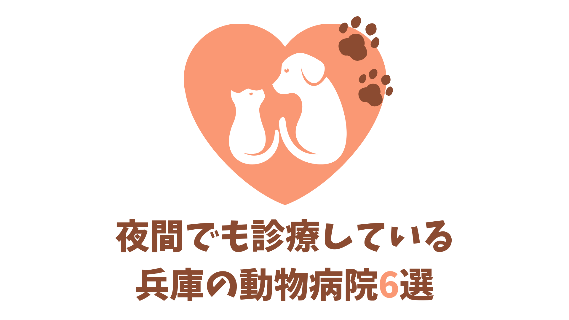 兵庫の夜間でも診療している動物病院
