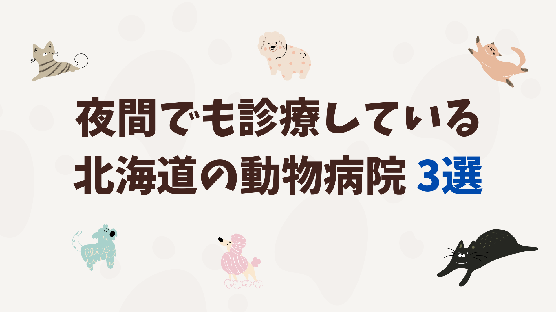 北海道の夜間救急動物病院