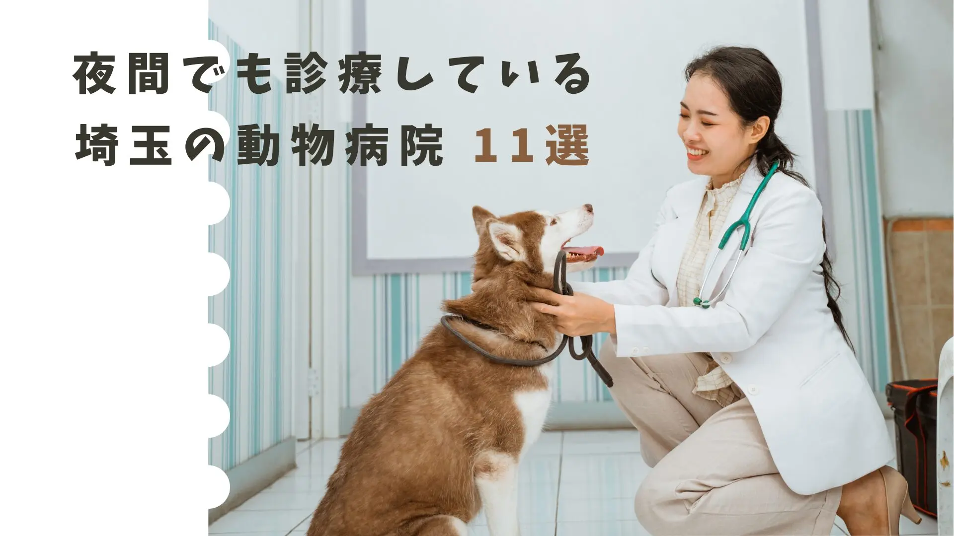 埼玉の夜間動物病院