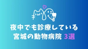 宮城のおすすめの夜間救急対応の動物病院