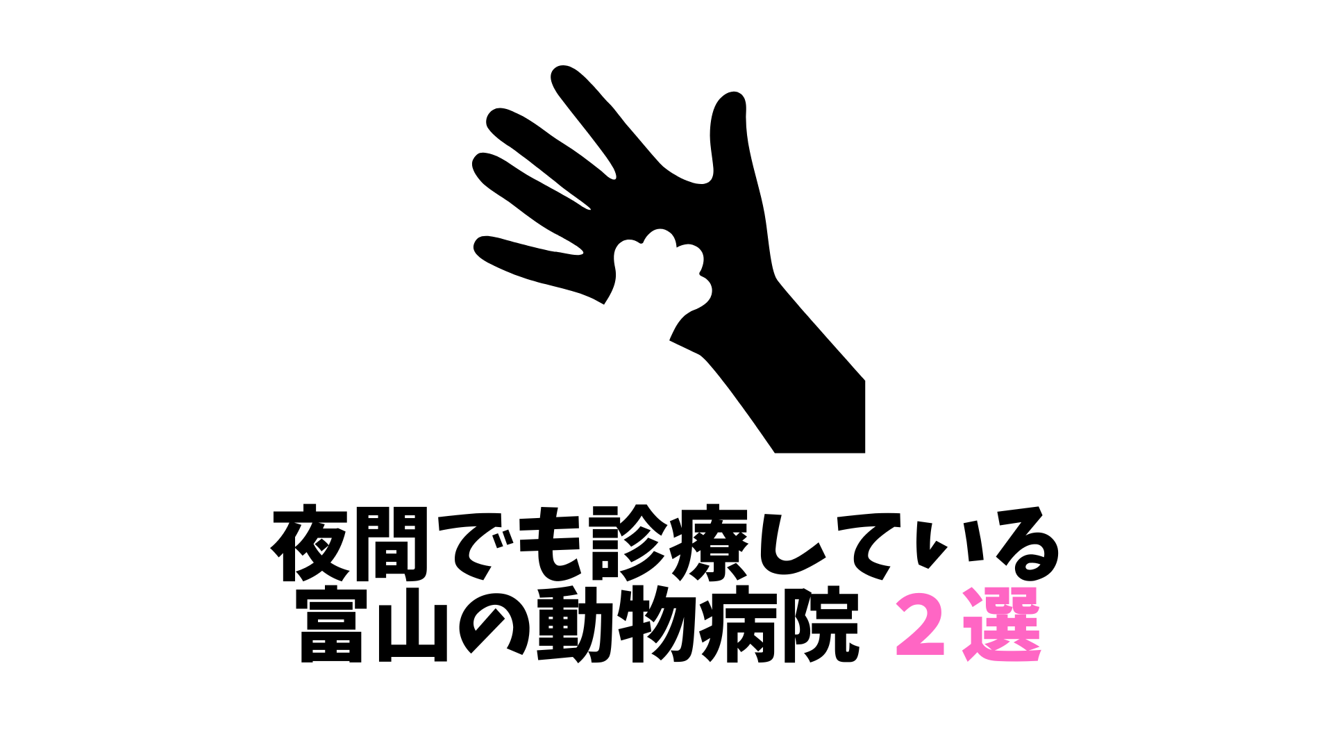 富山の夜間救急動物病院