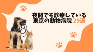 東京のおすすめの夜間動物病院