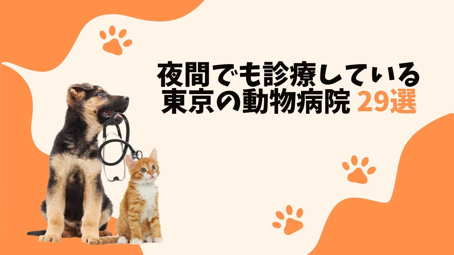 東京のおすすめの夜間動物病院