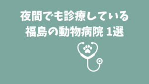 福島の夜間対応の動物病院