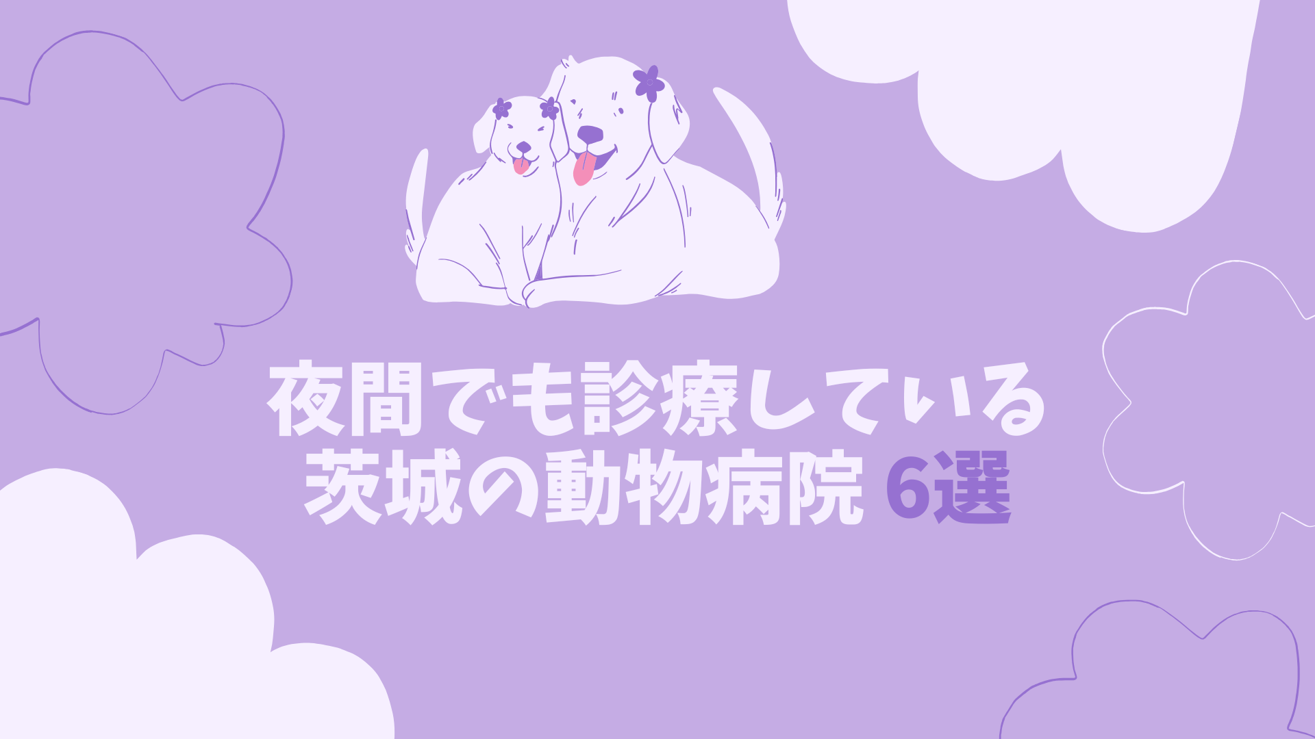 茨城のおすすめの夜間動物病院