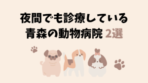 青森の夜間でも診療しているおすすめの動物病院