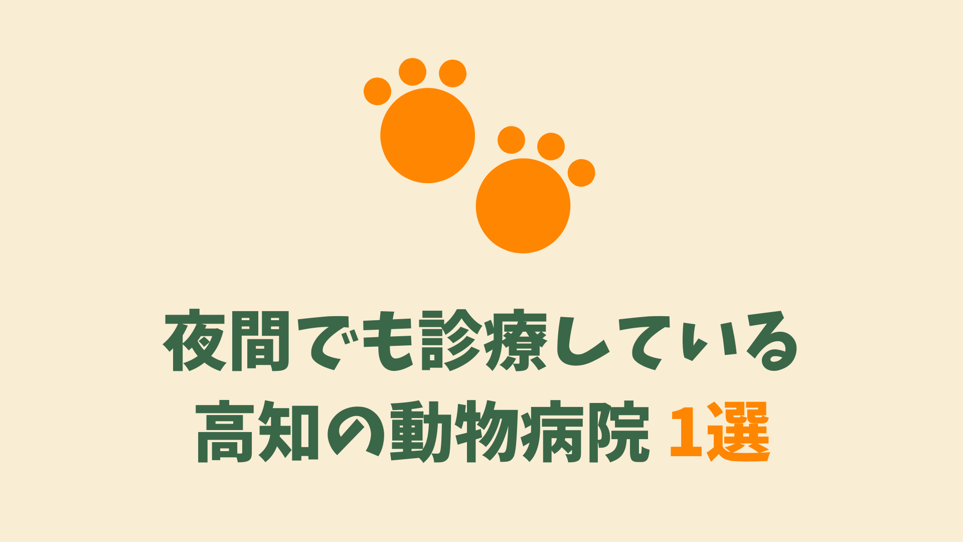 高知の夜間救急対応の動物病院