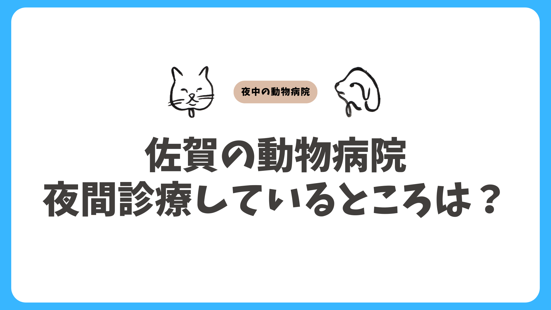 佐賀の夜間救急対応の動物病院