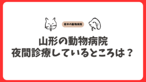 山形の夜間対応の動物病院