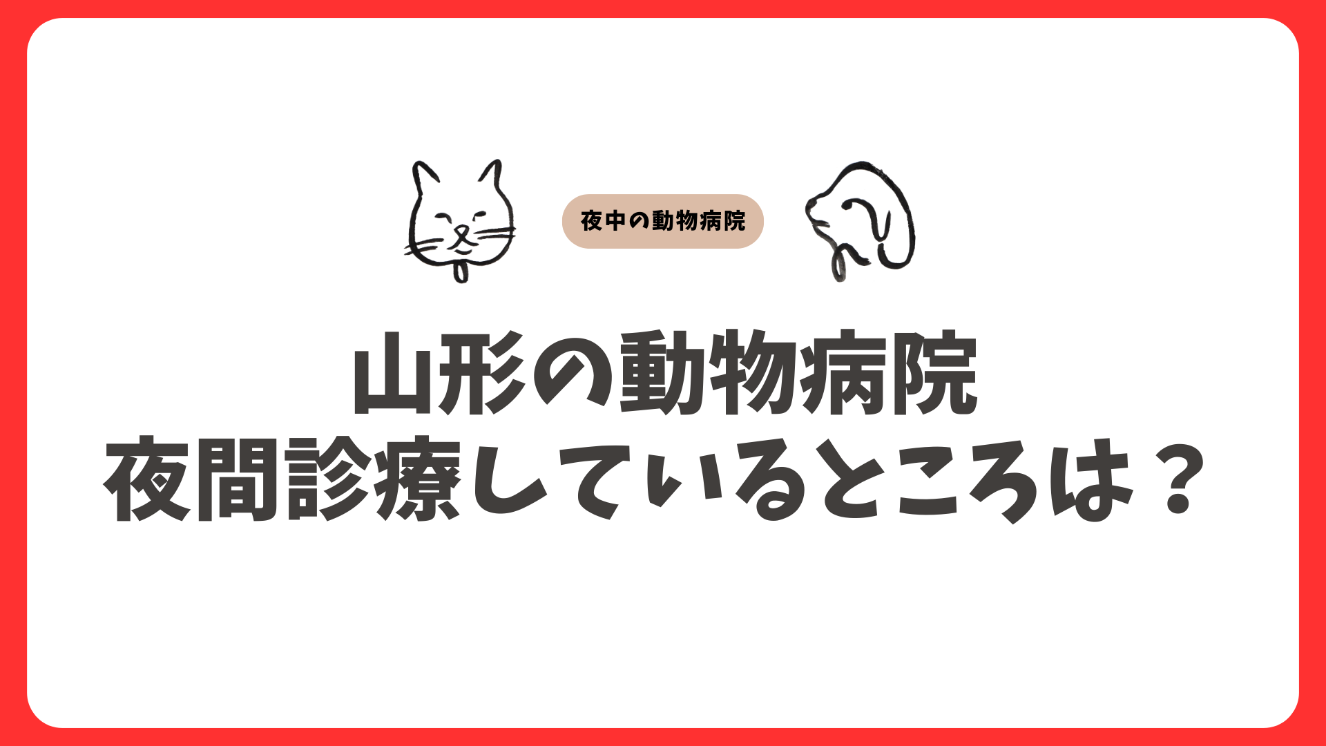山形の夜間対応の動物病院