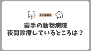 岩手のおすすめの夜間動物病院