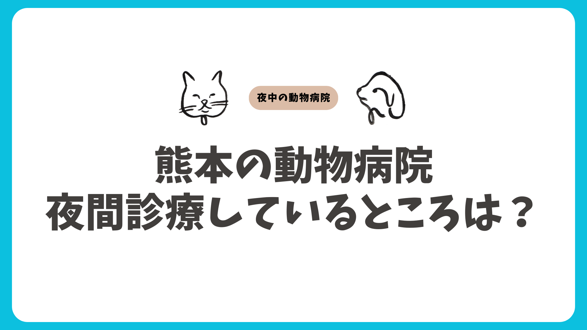 熊本のおすすめの夜間動物病院