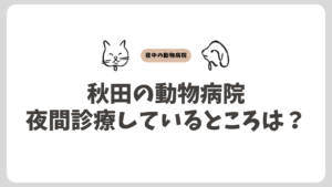 秋田の夜間動物病院