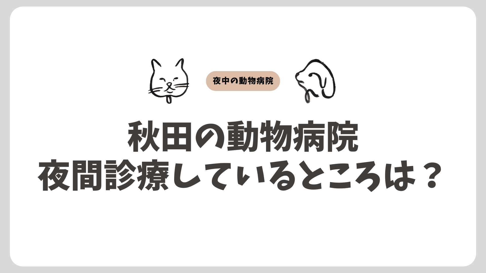 秋田の夜間動物病院